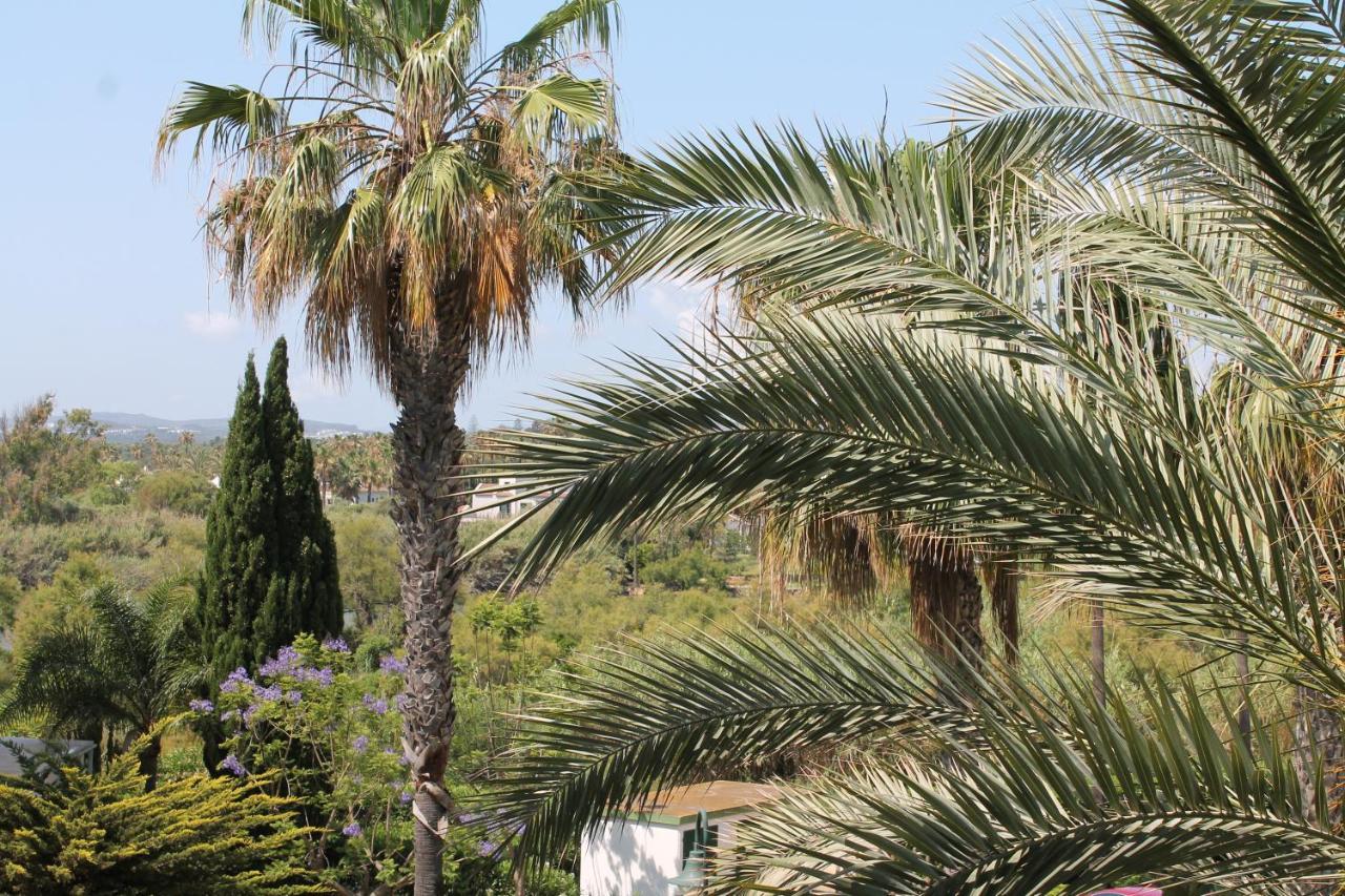Ferienwohnung New View Sotogrande Marina - Jungla Del Loro Exterior foto